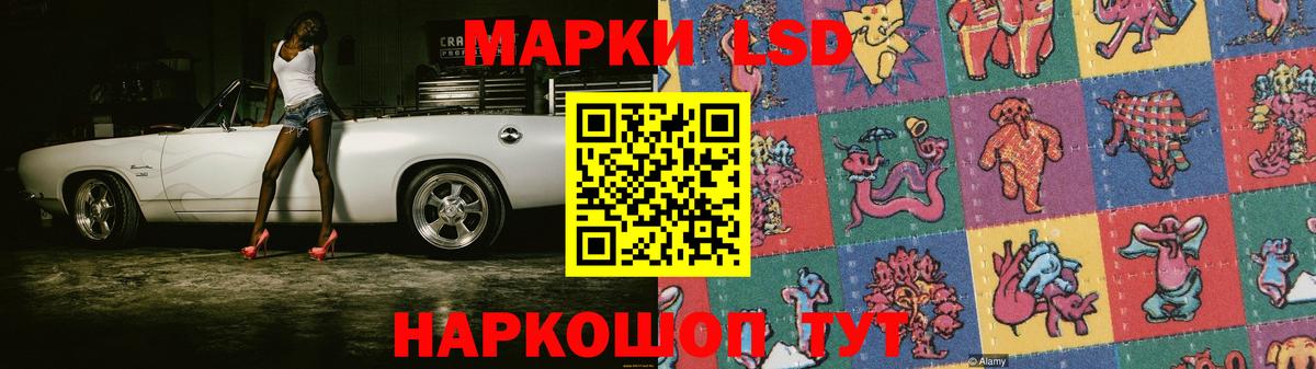 Алейск  блэк спрут маркетплейс  ЛСД экстази ecstasy  Вход с VPN  Лсд 25 экстази ecstasy 