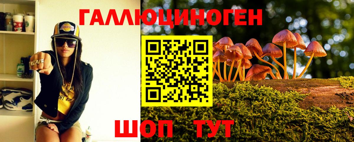 хочу   Галлюциногенные грибы ЛСД  Вход с VPN  Галлюциногенные грибы мухоморы  Алейск 