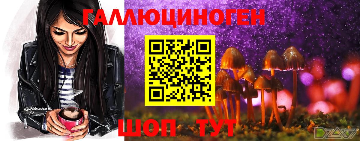 Галлюциногенные грибы ЛСД Алейск